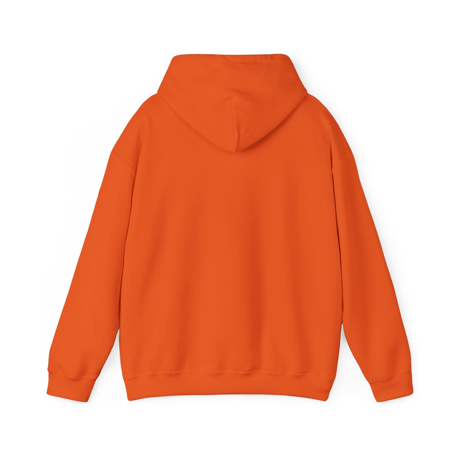 Adventure Awaits Hoodie