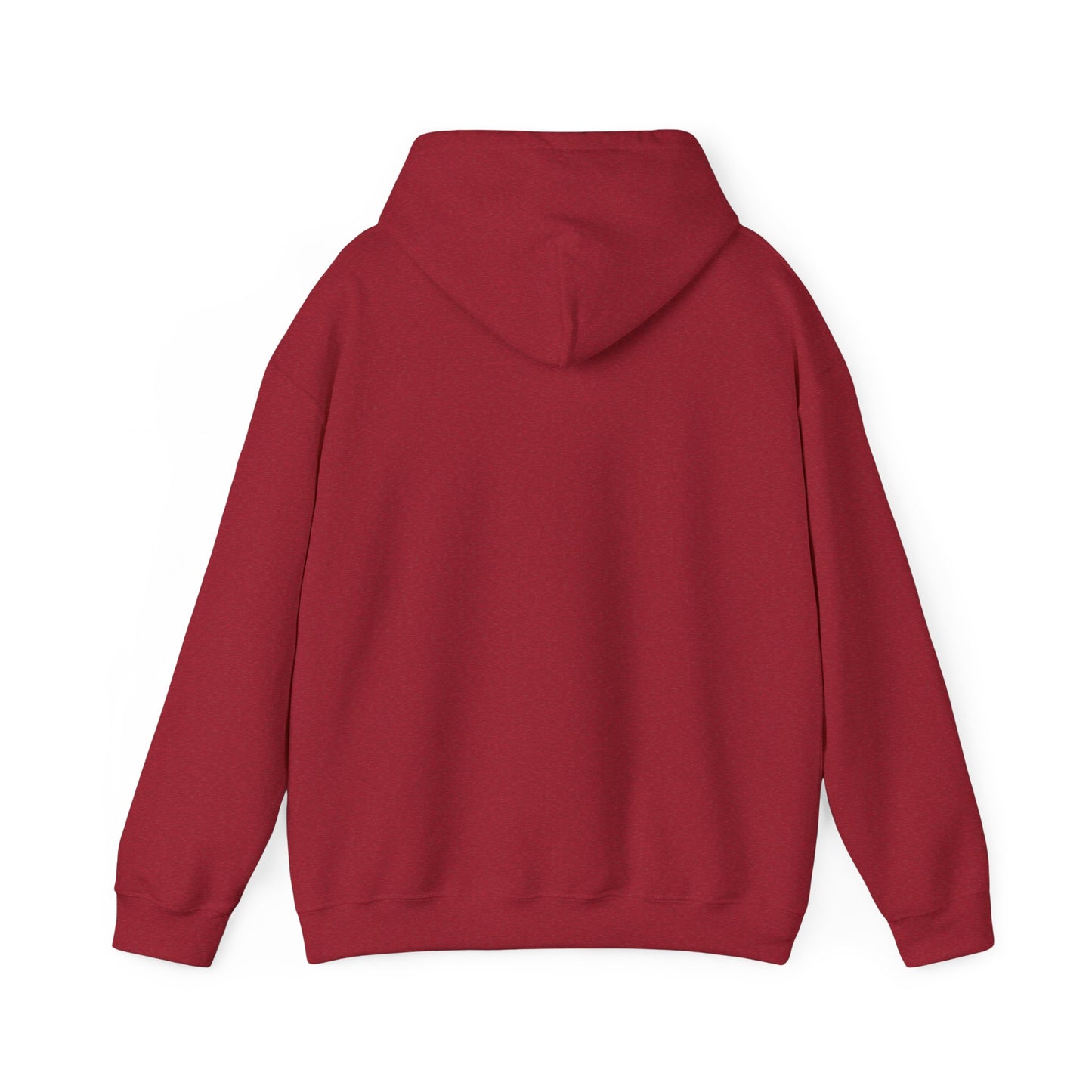 Adventure Awaits Hoodie
