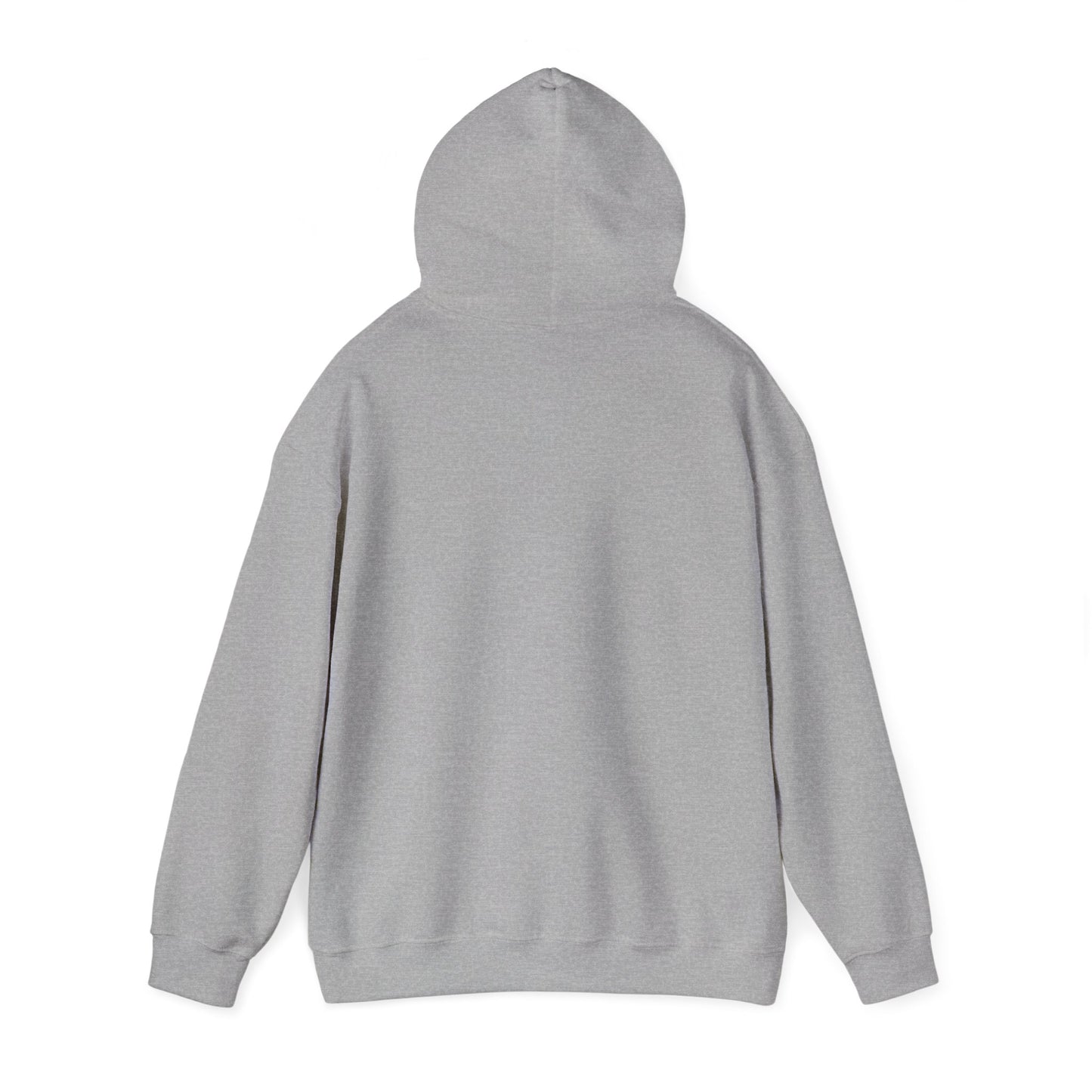 Hooded Sweatshirt Lofi/Vaporwave Design