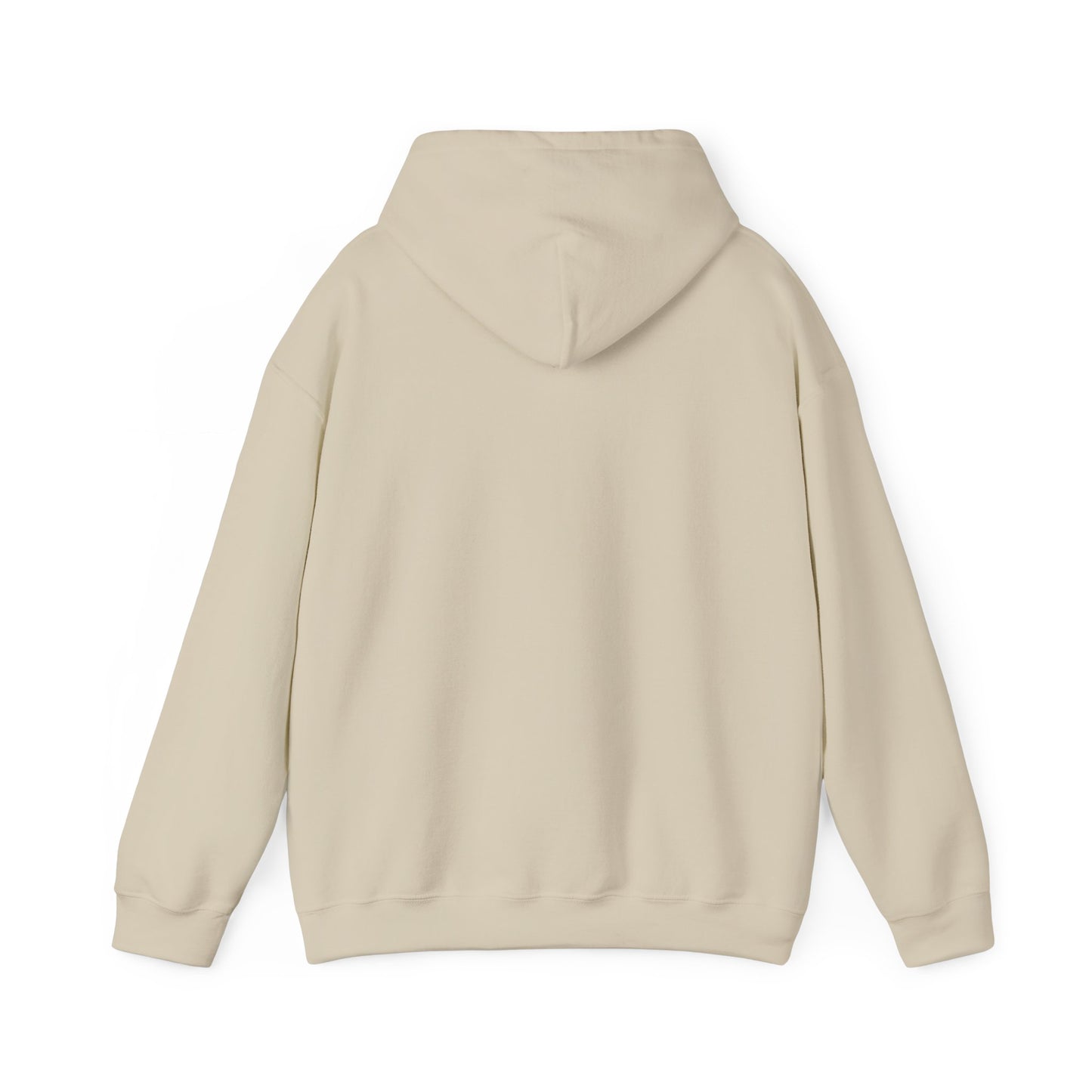 Hooded Sweatshirt Lofi/Vaporwave Design