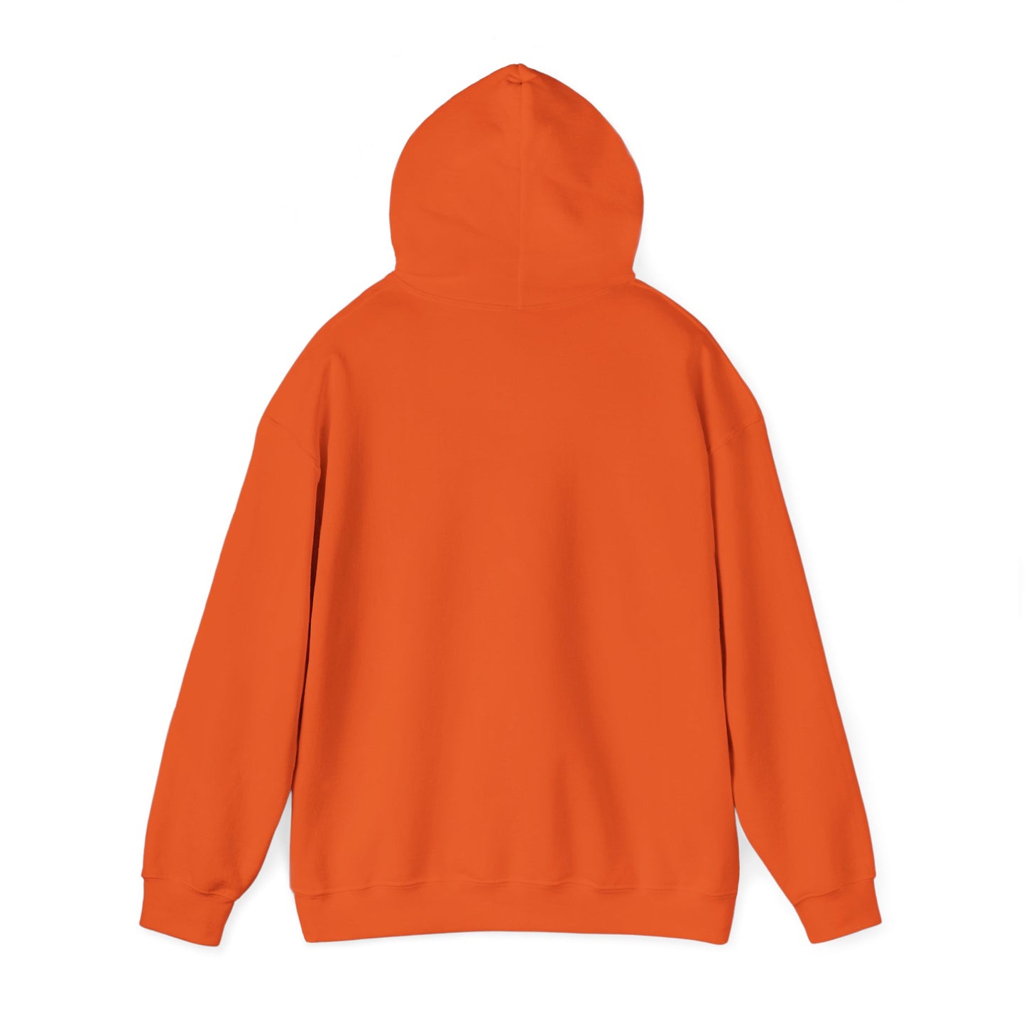 Adventure Awaits Hoodie