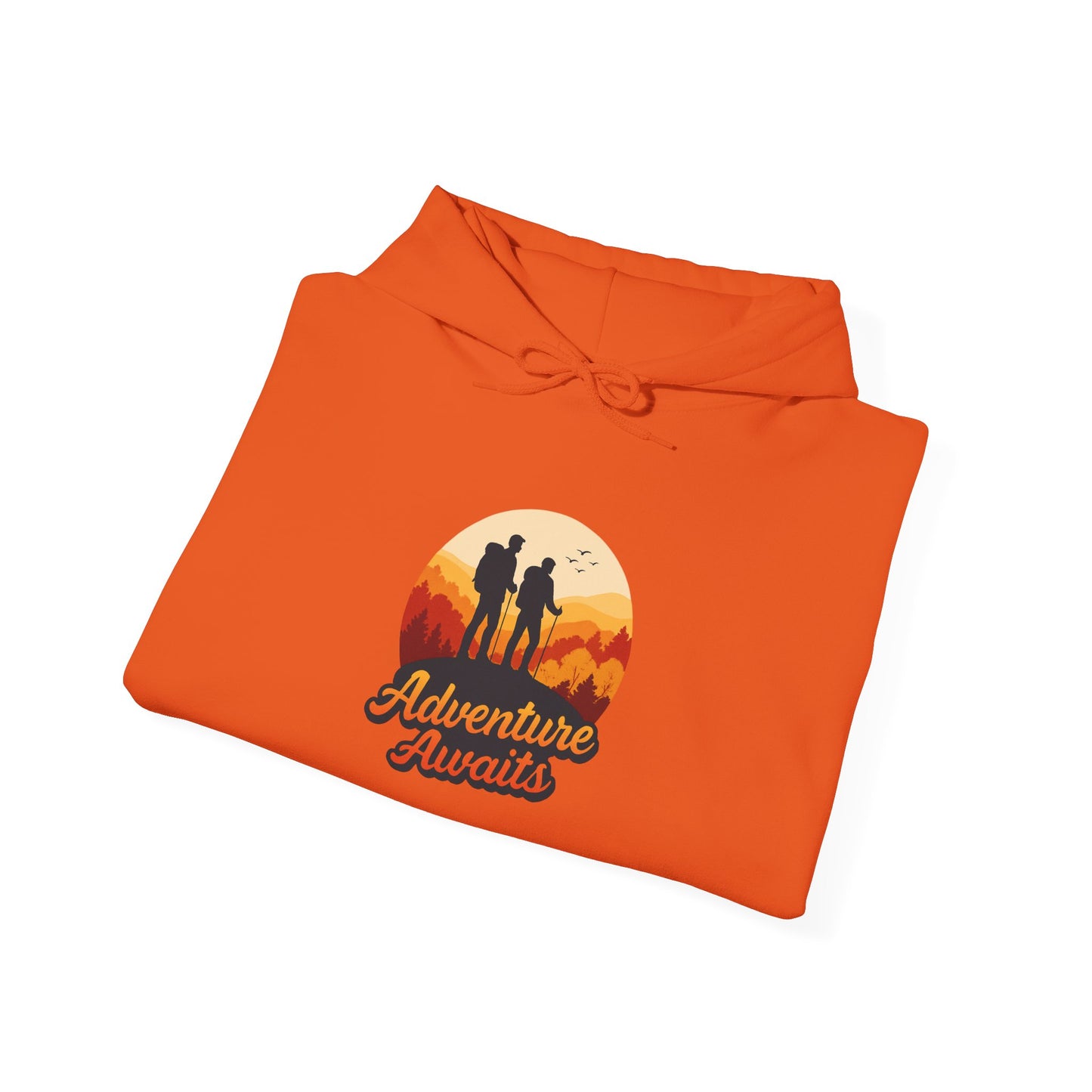 Adventure Awaits Hoodie