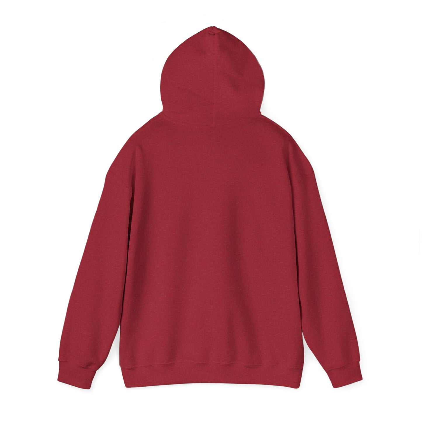 Adventure Awaits Hoodie