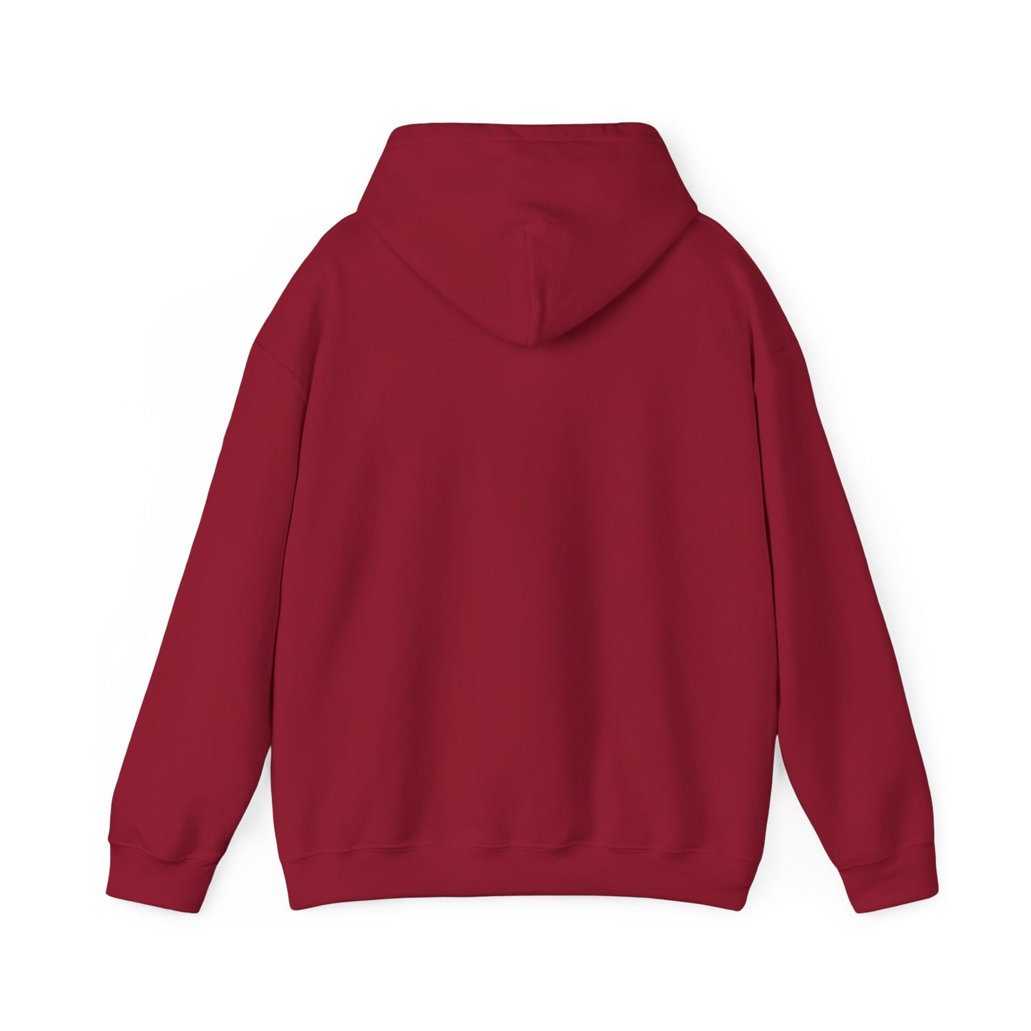 Adventure Awaits Hoodie