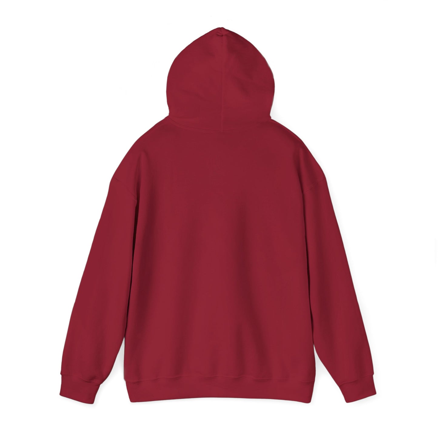 Adventure Awaits Hoodie