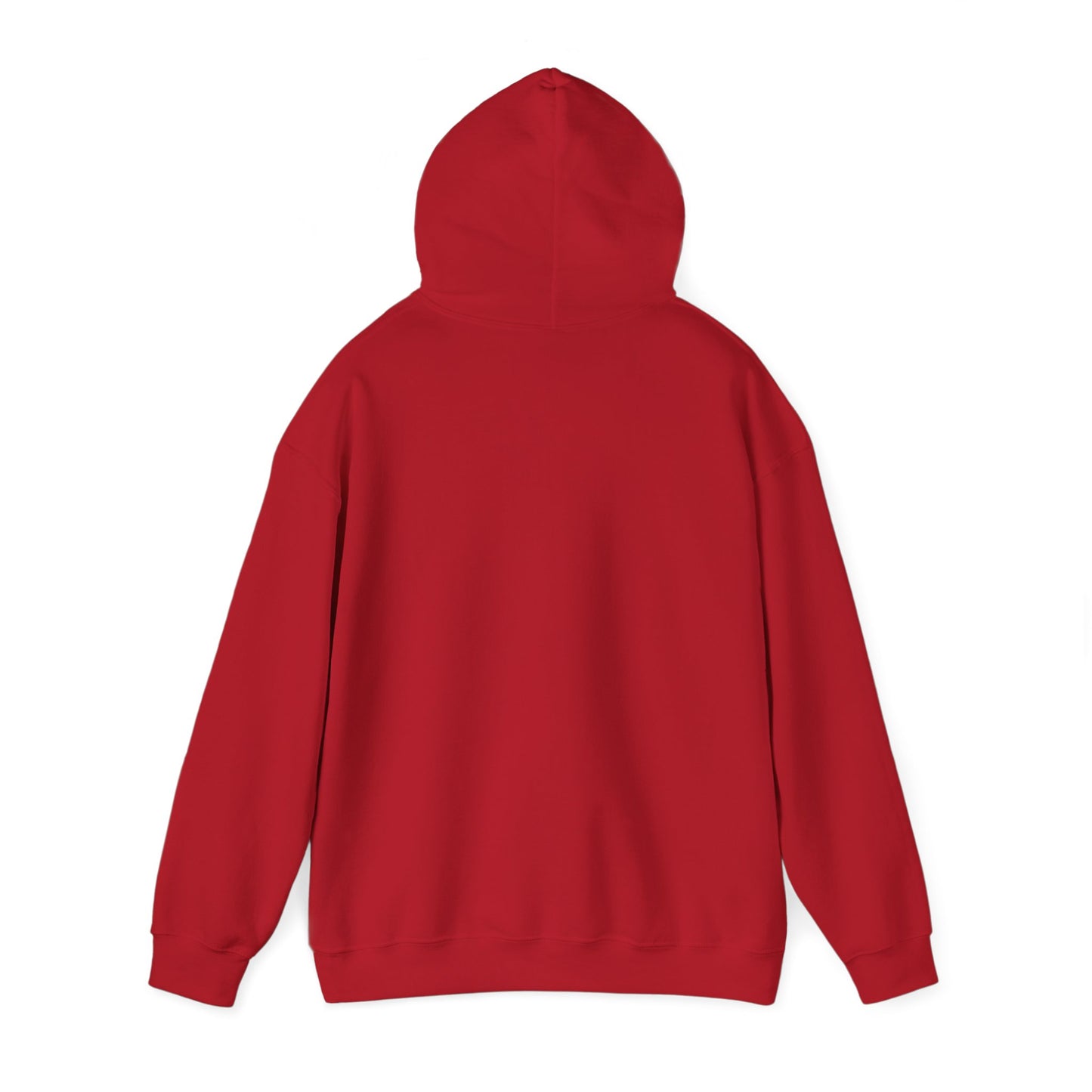 Baseball Field Hoodie