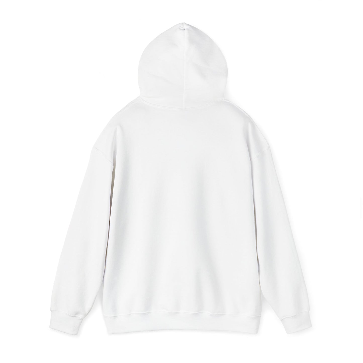 Baseball Field Hoodie