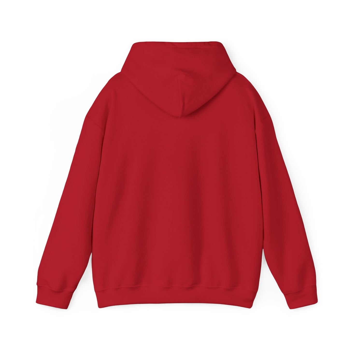 Baseball Field Hoodie