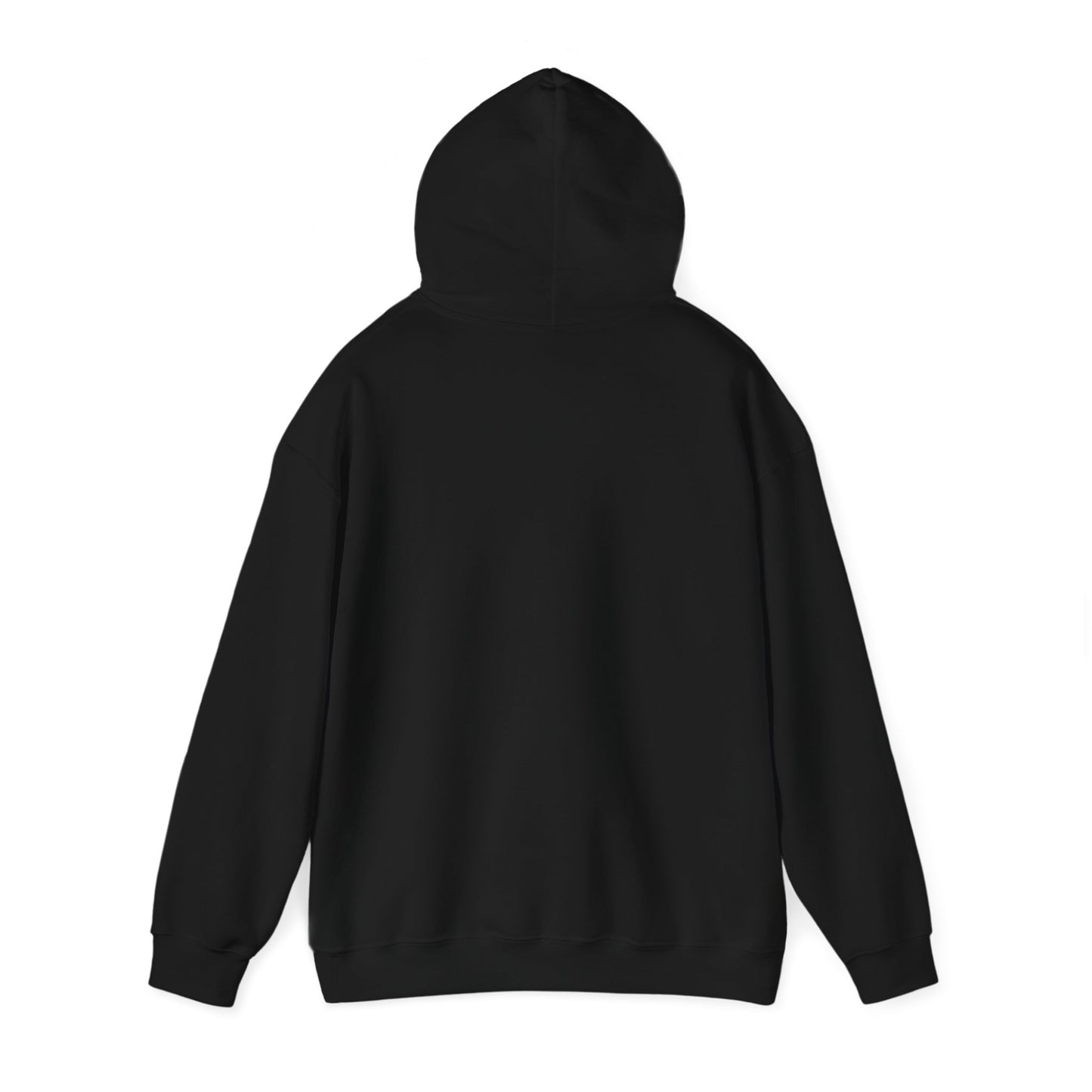 Baseball Field Hoodie