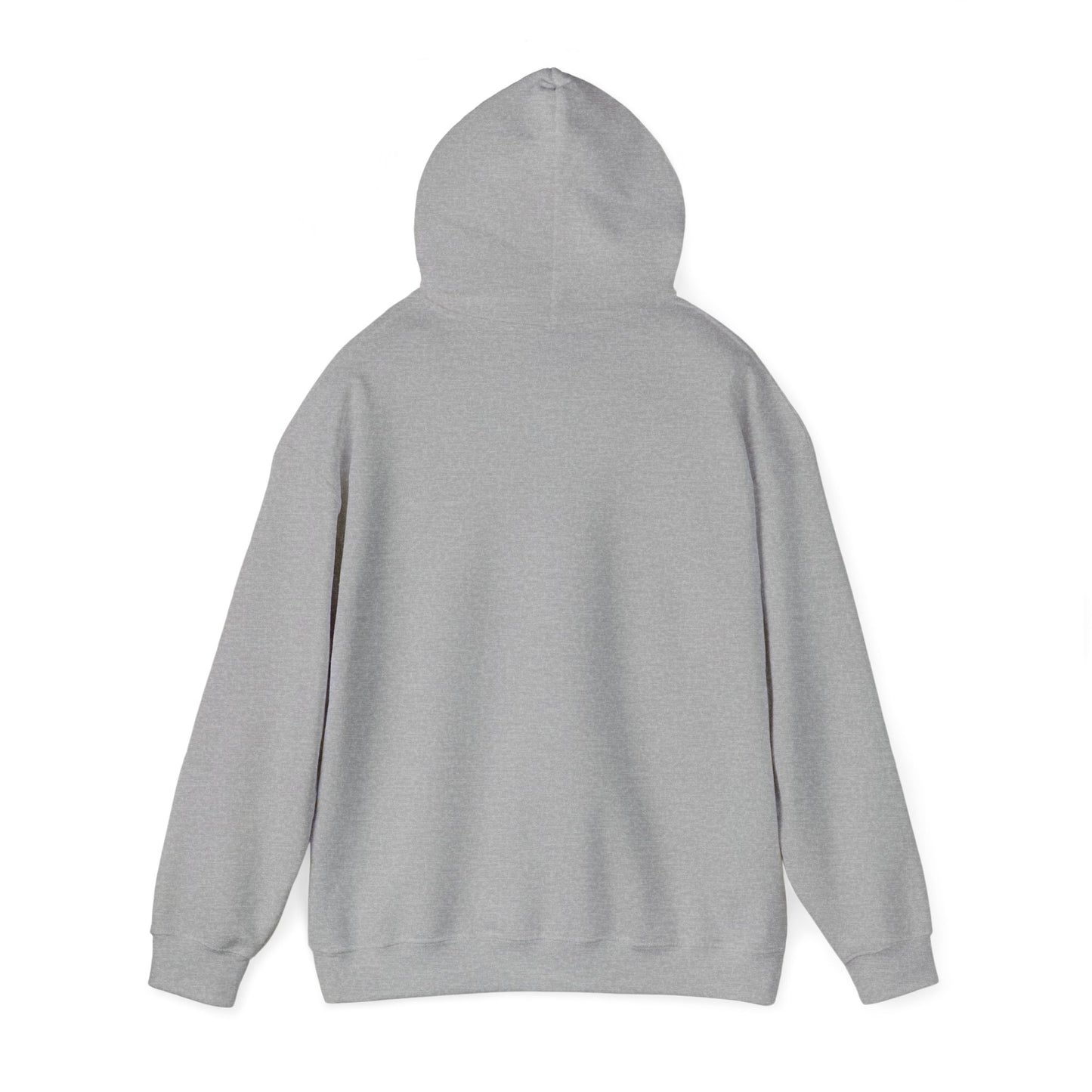 Baseball Field Hoodie